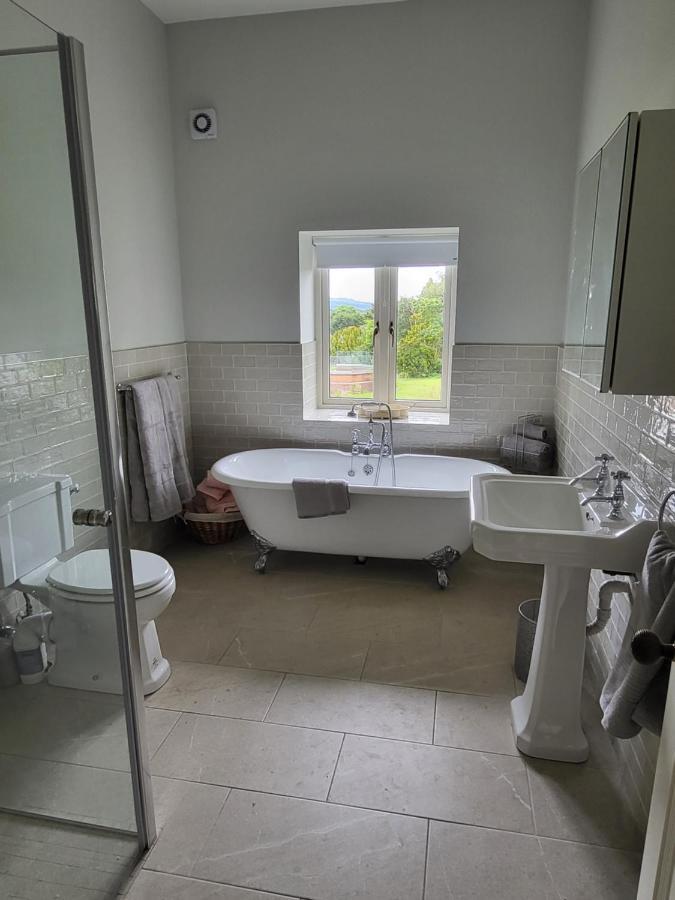 Villa The Coach House à Dublin Extérieur photo